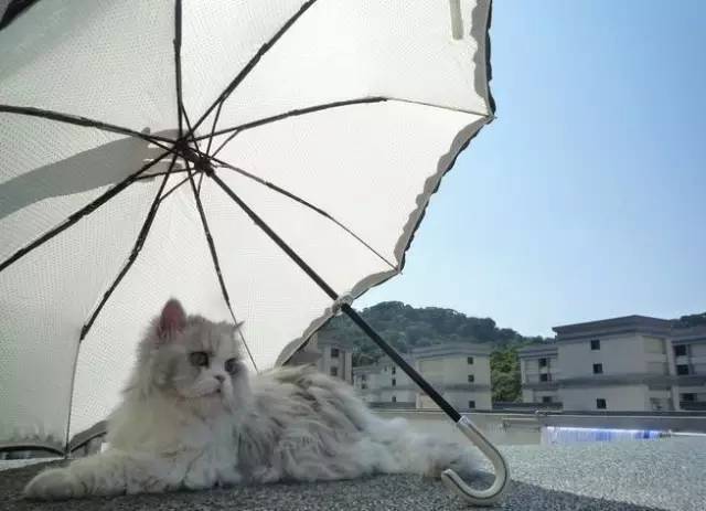 怎么让皮肤变白小妙招,皮肤黑有哪些偏方变白