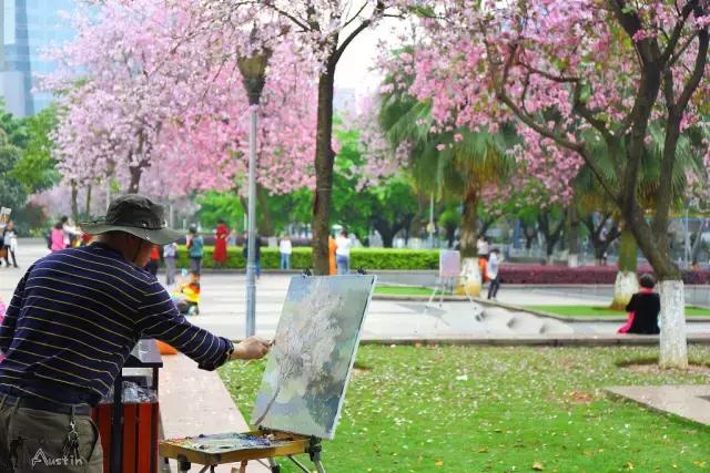 柳州哪个公园有足球场,柳州新建紫荆花公园