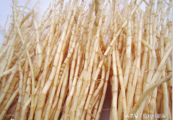 随处可见的杂草,随处可见长刺的野草