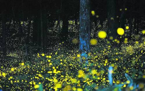 马代值得去的海岛,马来西亚免签去沙巴