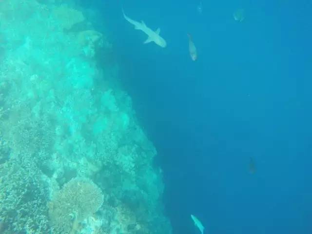 马代值得去的海岛,马来西亚免签去沙巴