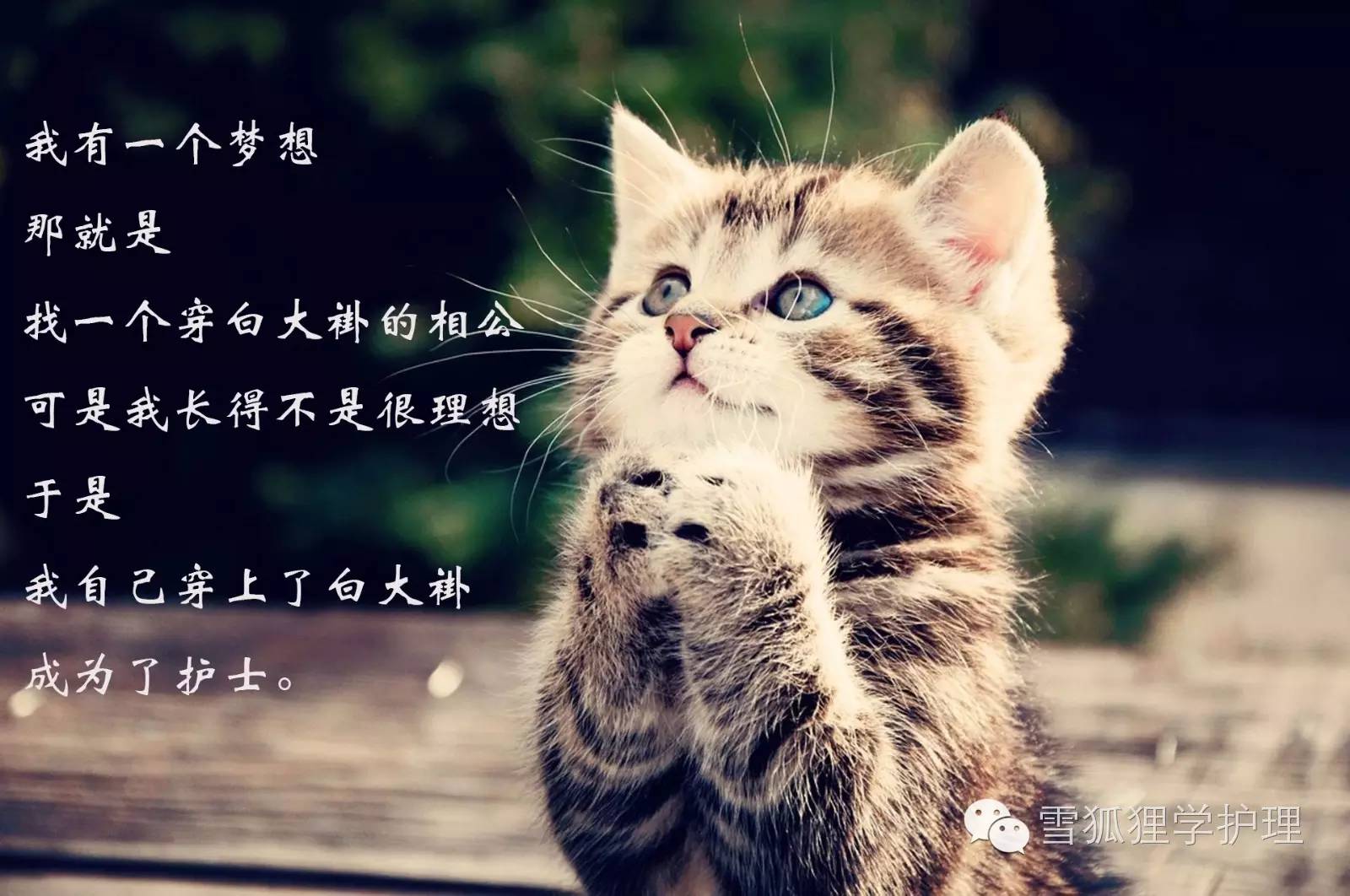 当了护士才知道这个职业很高级,当了医护才知道生命的脆弱