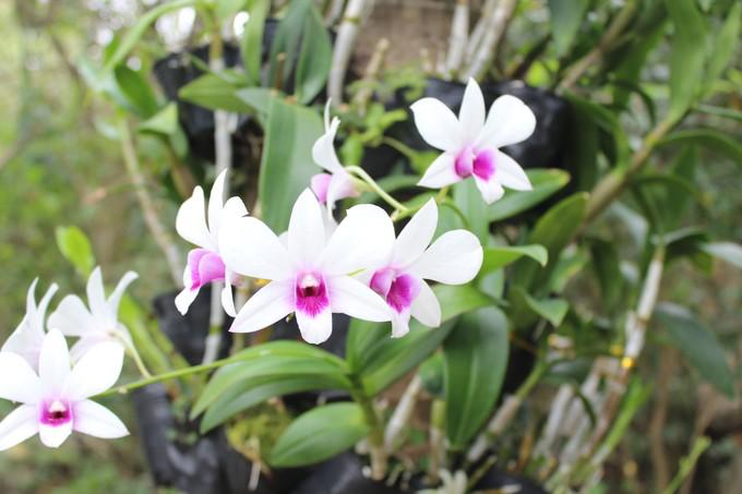 和闺蜜一起去三亚旅游的视频,和闺蜜去三亚旅游