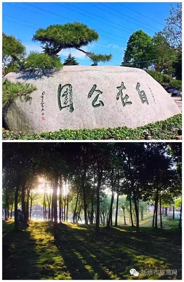 扬州约会的好地方免费,扬州免费开放的景点推荐