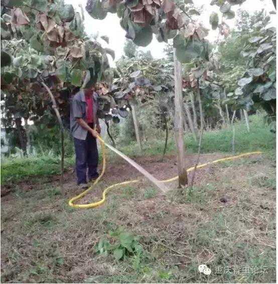 为了大山里的孩子上学,为了山里的孩子读书