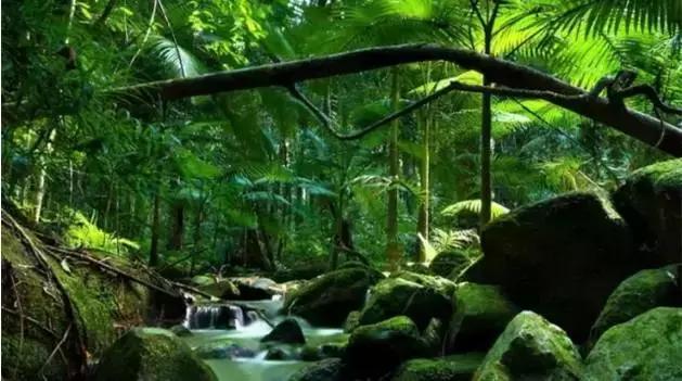 山西身份证为什么是14开头,山西身份证14开头