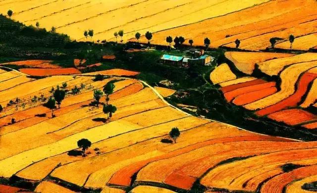 山西身份证为什么是14开头,山西身份证14开头