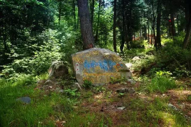 黑水彩林秘境,阿坝藏族羌族自治州黑水彩林