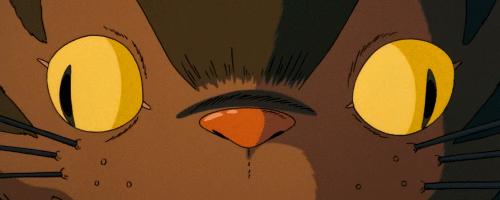 内德看英超微博,内德专栏新赛季看曼联什么