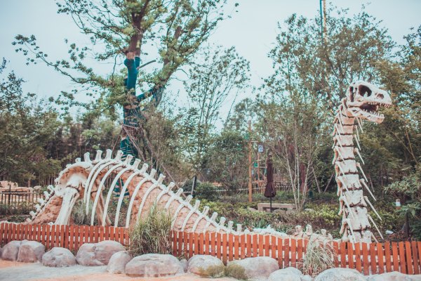 合肥青年旅游团,合肥旅游团迪士尼