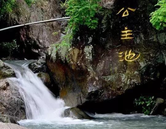 安溪由茶乡变成诈骗之乡,安溪为啥被称为诈骗之乡