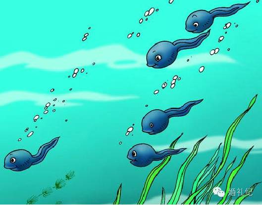 领证后发现婚检有问题怎么办,领证后发现对方婚检有问题怎么办