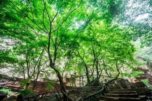 悬泉飞瀑的风景图,悬泉山瀑布在什么地方