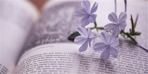 农信社招考备考要做到全面开花,农信社招聘考试你有资格报考吗