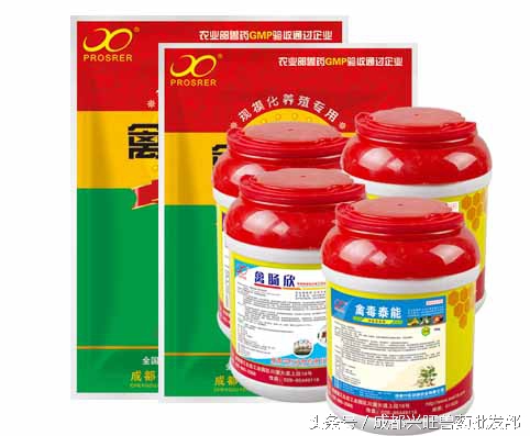 鹅副粘病毒病怎么防治,鹅副粘病毒症状及治疗方案