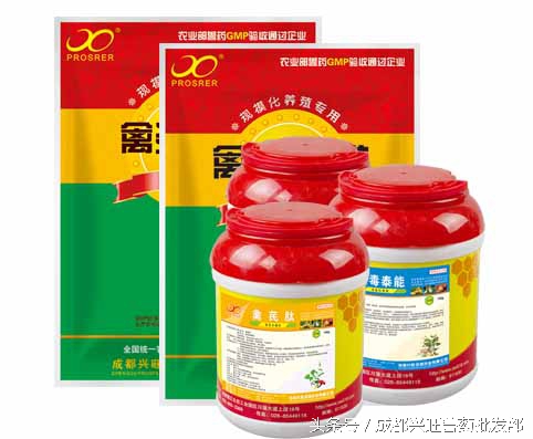 鹅副粘病毒病怎么防治,鹅副粘病毒症状及治疗方案