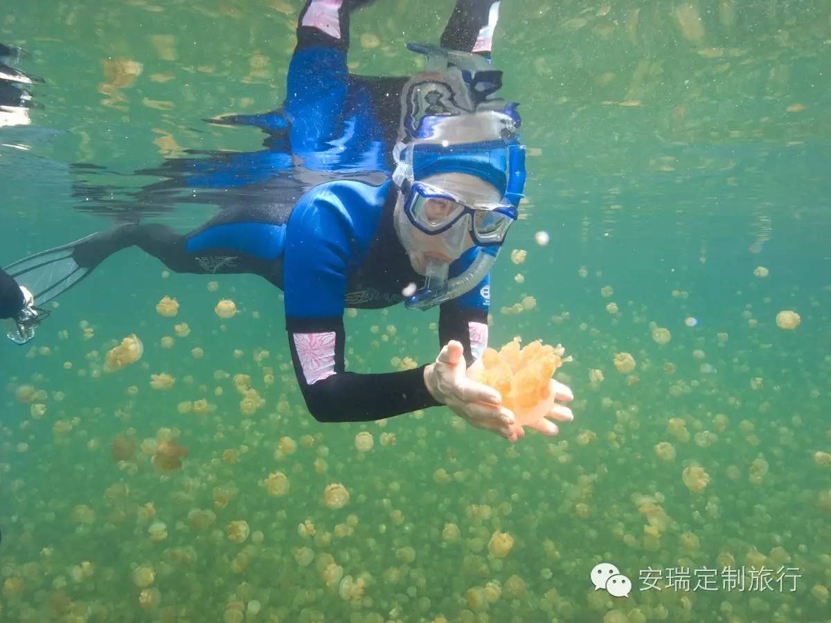 塞班岛和塞舌尔哪个好,塞舌尔菲律宾旅游