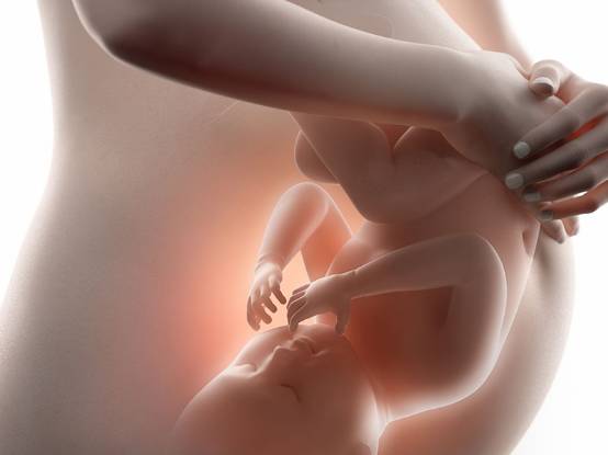 你看不见的“微生物群”,竟能左右婴儿健康!