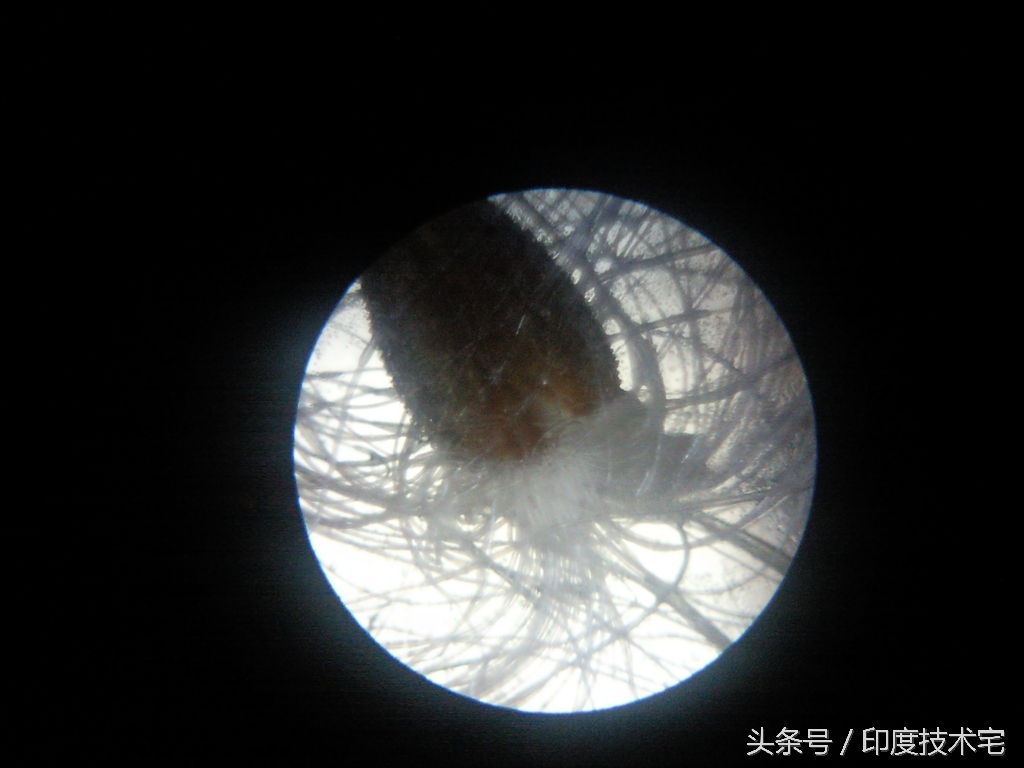 手机摄像机如何可以当显微镜使用,如何用旧手机的摄像头做显微镜