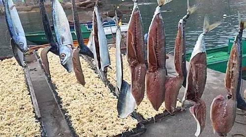 海陵岛手杆钓鱼点攻略,庙湾岛路亚钓点