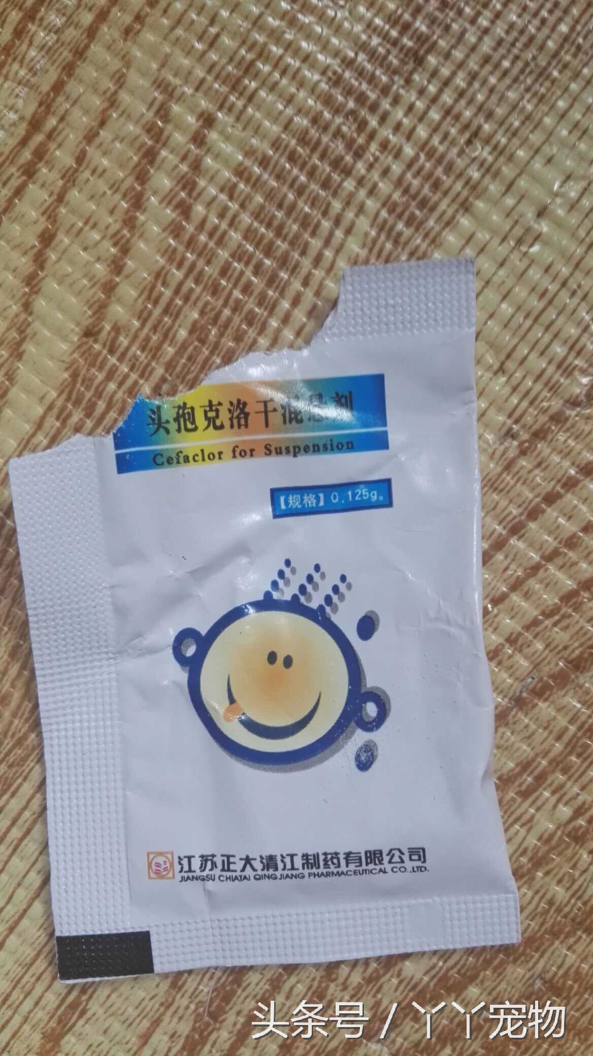 宠物狗布病怎么治疗,宠物常见疾病治疗及症状每日分享