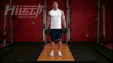 5个很棒的哑铃健身动作,哑铃最简单最实用的健身动作