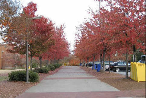 佐治亚大学好申请吗,佐治亚理工学院值得申请吗