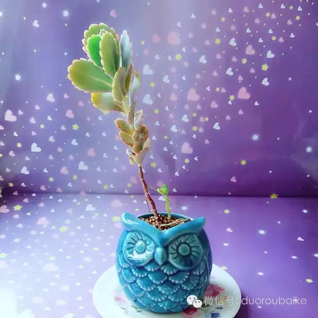 入坑就不能自拔,入坑后无法自拔