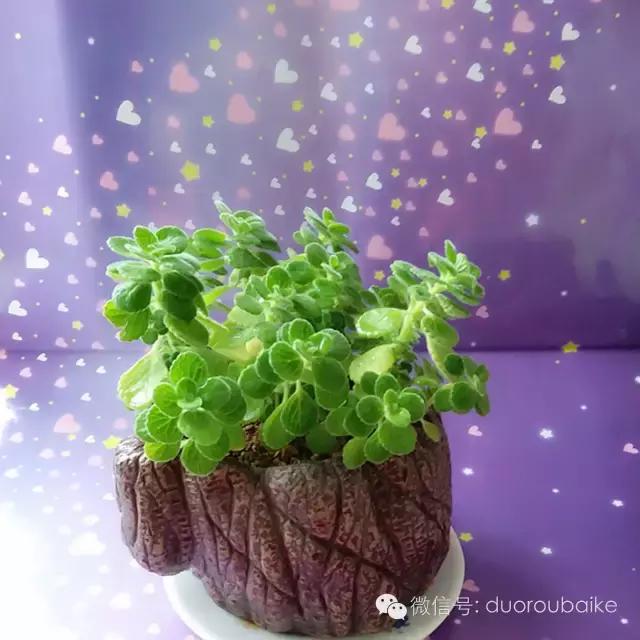 入坑就不能自拔,入坑后无法自拔