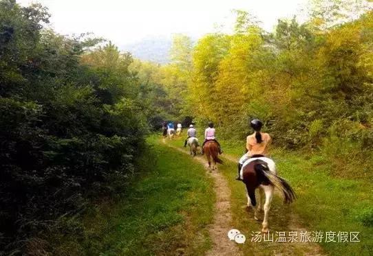 天气这么好，一起来汤山钓鱼、骑马、吃鹿肉、看鳄鱼吧！