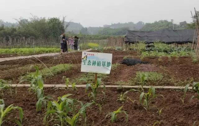 重庆周边钓鱼温泉看花的农家乐,重庆大学城附近包食宿的农家乐