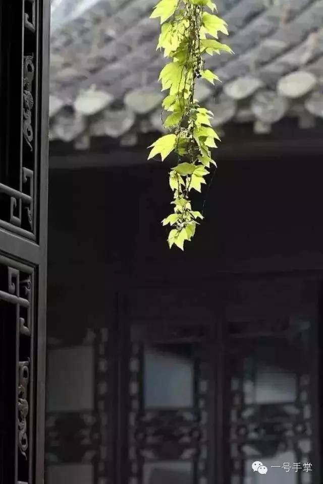 般若甘南,牛羊是一块村庄的心事