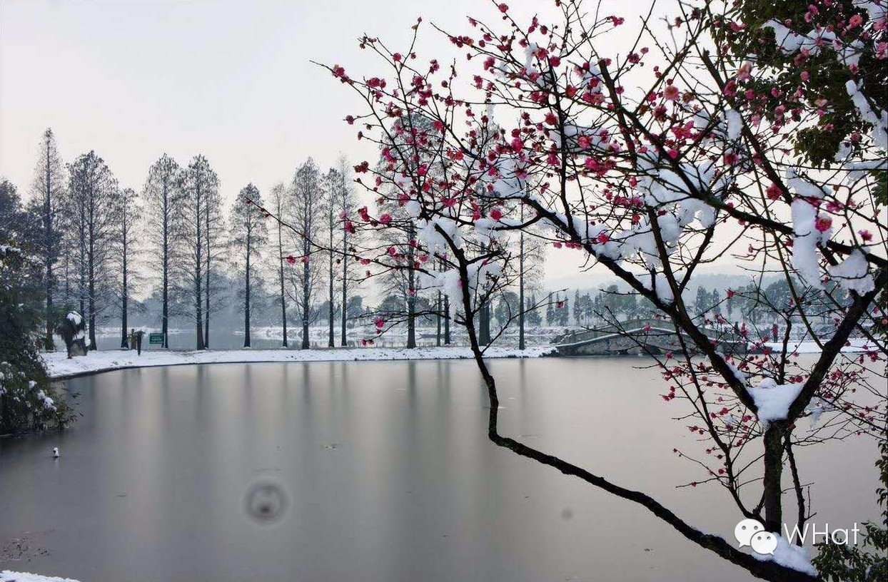 武汉只下一天雪吗,武汉下的是雪吗