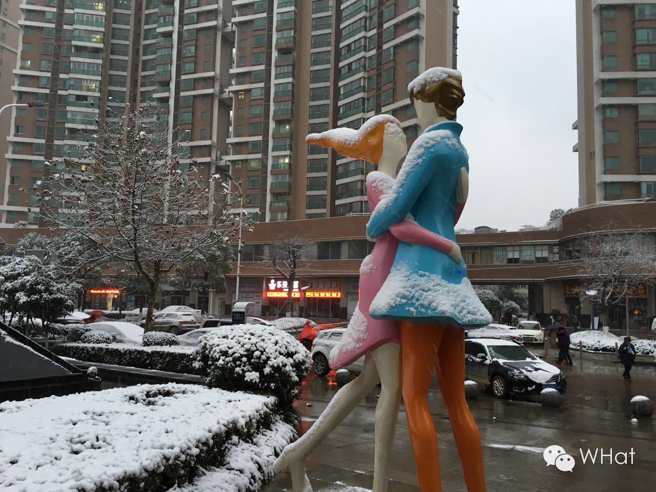 武汉只下一天雪吗,武汉下的是雪吗