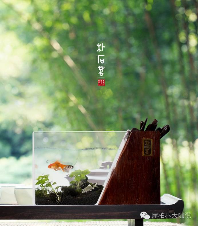 怎样才能买到又便宜又好的崖柏毛料？