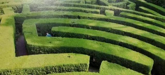 2017年度全国最美茶园,世界上最美茶园是哪里