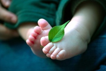 最好的种草神器,种草效果让你不可思议