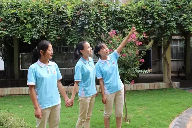 郑州哪些中学蓝色校服好看,郑州各中学校服