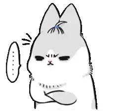 贞丰三岔河音乐节,贞丰三岔河国际艺术节