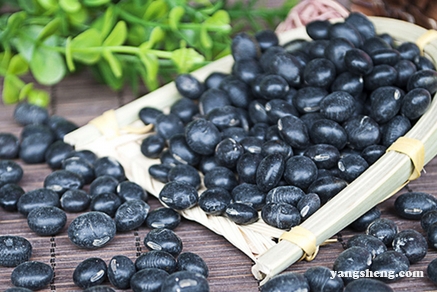 治疗白发最好的食补方法,小女孩有白发吃点什么食疗