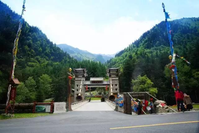 黑水彩林秘境,阿坝藏族羌族自治州黑水彩林