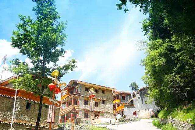 黑水彩林秘境,阿坝藏族羌族自治州黑水彩林