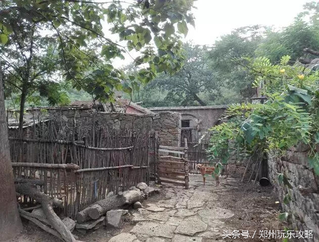 河南老门的样子,河南的门长什么样子