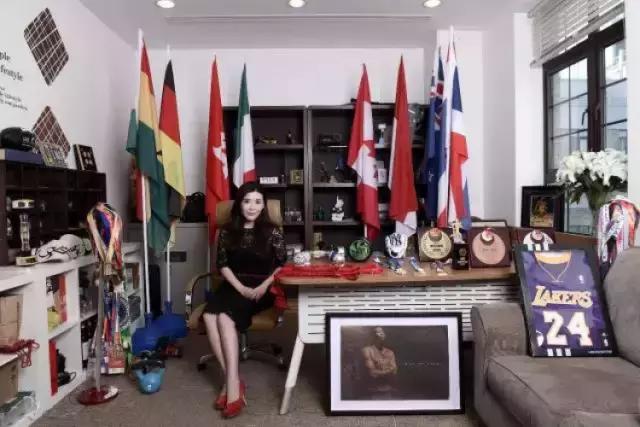 智美体育业绩大全,智美体育2018营收