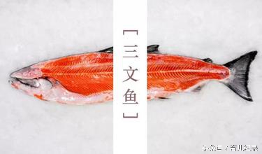 孕妇能生吃三文鱼吗,三文鱼排可以生吃吗
