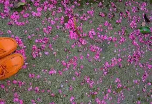 安溪由茶乡变成诈骗之乡,安溪为啥被称为诈骗之乡