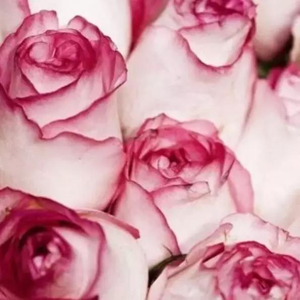 彩妆小品牌分析,彩妆鸡肋产品有哪些品牌