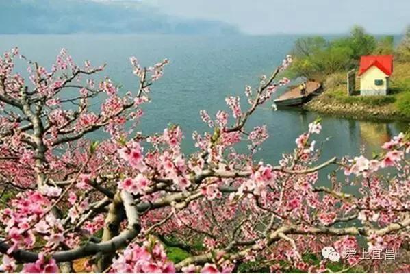 爱旅游的宜昌人不一定知道,出行用它据说能省好几千元!