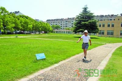 艾草温灸贴可以治宫寒吗,艾条宫寒