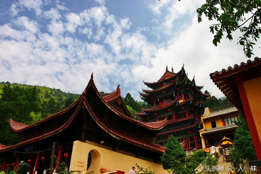 漫游天目山,探幽天目山森林之旅